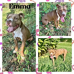 Thumbnail photo of Emma #1