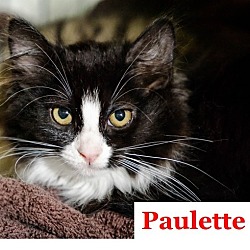 Thumbnail photo of Paulette #1