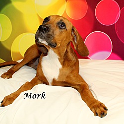 Thumbnail photo of Mork ~ meet me! ~ #2