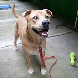 Photo of Peanut