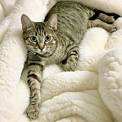 Photo of Cat Middleton