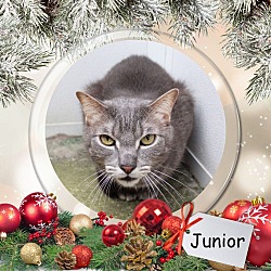 Photo of Junior