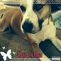 Thumbnail photo of Doesha #1