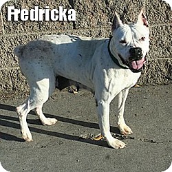 Thumbnail photo of Fredericka #2