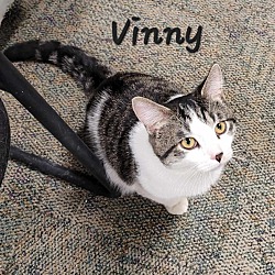 Photo of Vinny