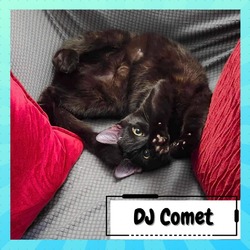 Photo of DJ Comet