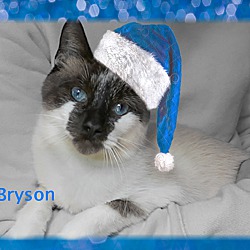 Photo of Bryson