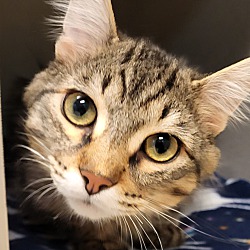 Photo of Ezra