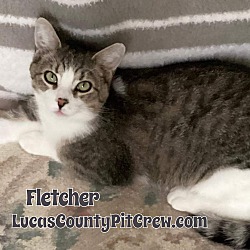 Photo of Fletcher