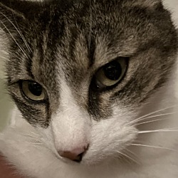 Photo of Bella