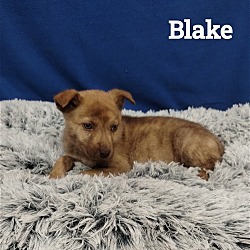 Thumbnail photo of Blake #2