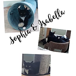 Photo of Isabella & Sophia