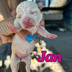 Thumbnail photo of Jan #2