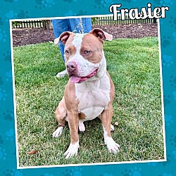 Thumbnail photo of Frasier #4