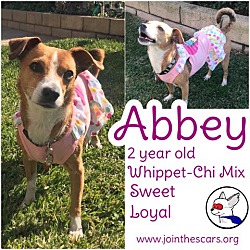 Thumbnail photo of Abbey #1