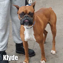Thumbnail photo of Klyde #2