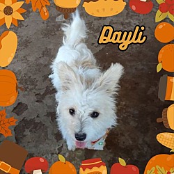 Photo of Dayli