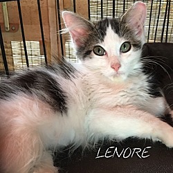 Thumbnail photo of Lenore #2