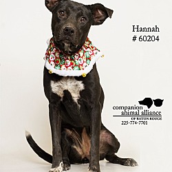 Thumbnail photo of Hannah  (Foster Care) #1