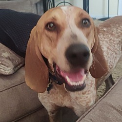 Photo of Bomber