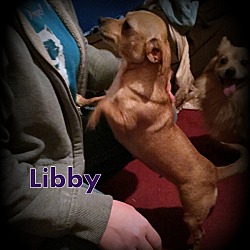 Thumbnail photo of Libby #4