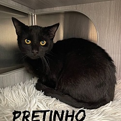 Photo of Pretinho