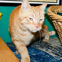 Photo of Kade