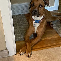 Thumbnail photo of Buster #4
