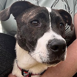Photo of Flynn