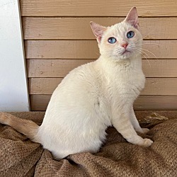 Photo of Queenie