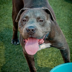 Thumbnail photo of CLYDE-A2141559 #4