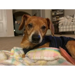 Photo of DUDLEY
