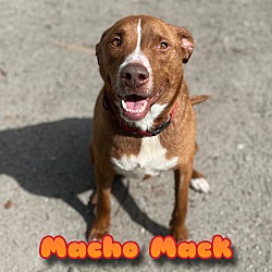 Photo of Macho Mack