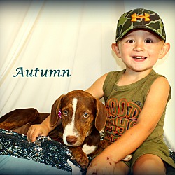 Thumbnail photo of Autumn~adopted! #2