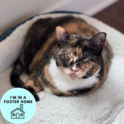 Thumbnail photo of Charlene #1