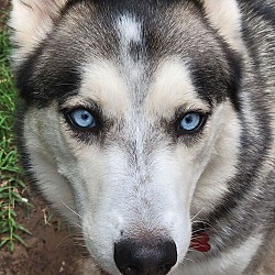 Photo of Zero