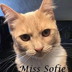 Photo of Miss Sofie at Martinez PFE  May 4th