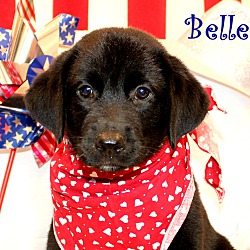 Thumbnail photo of Belle ~ meet me! #3