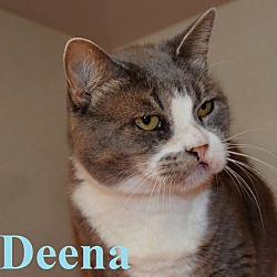 Photo of Deena