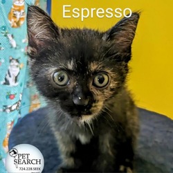 Thumbnail photo of Espresso #1