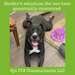 Thumbnail photo of Zander #3