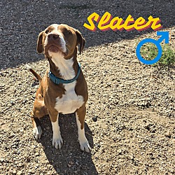 Thumbnail photo of Slater #1