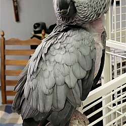 Photo of Nikki