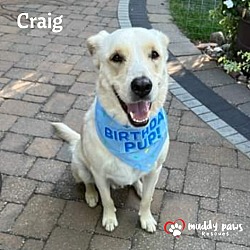 Photo of Craig (Courtesy Post)