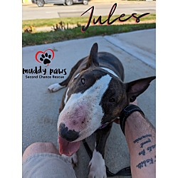 Thumbnail photo of Jules #4