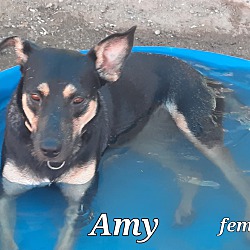 Thumbnail photo of Amy #4