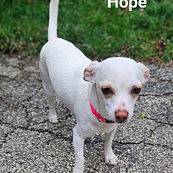 Thumbnail photo of Hope #4