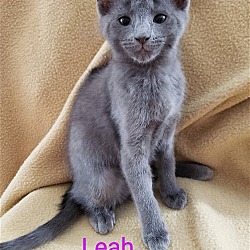 Photo of Leah