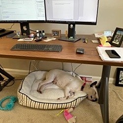 Photo of Ellie