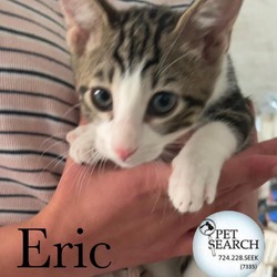 Thumbnail photo of Eric #1